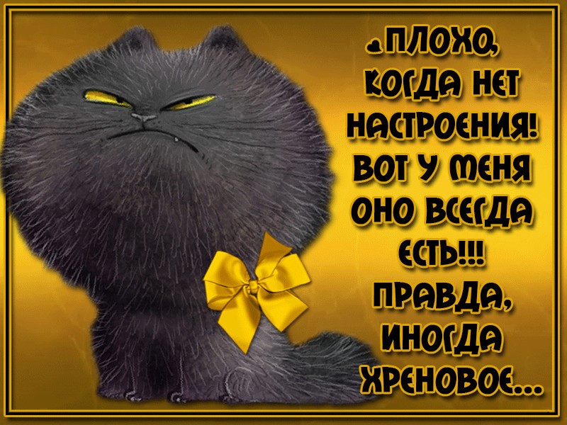 Песня если нету настроения с самого утра. Открытки плохое настроение. Плохое настроение картинки прикольные. Открытка у меня плохое настроение. Открытка нет настроения.