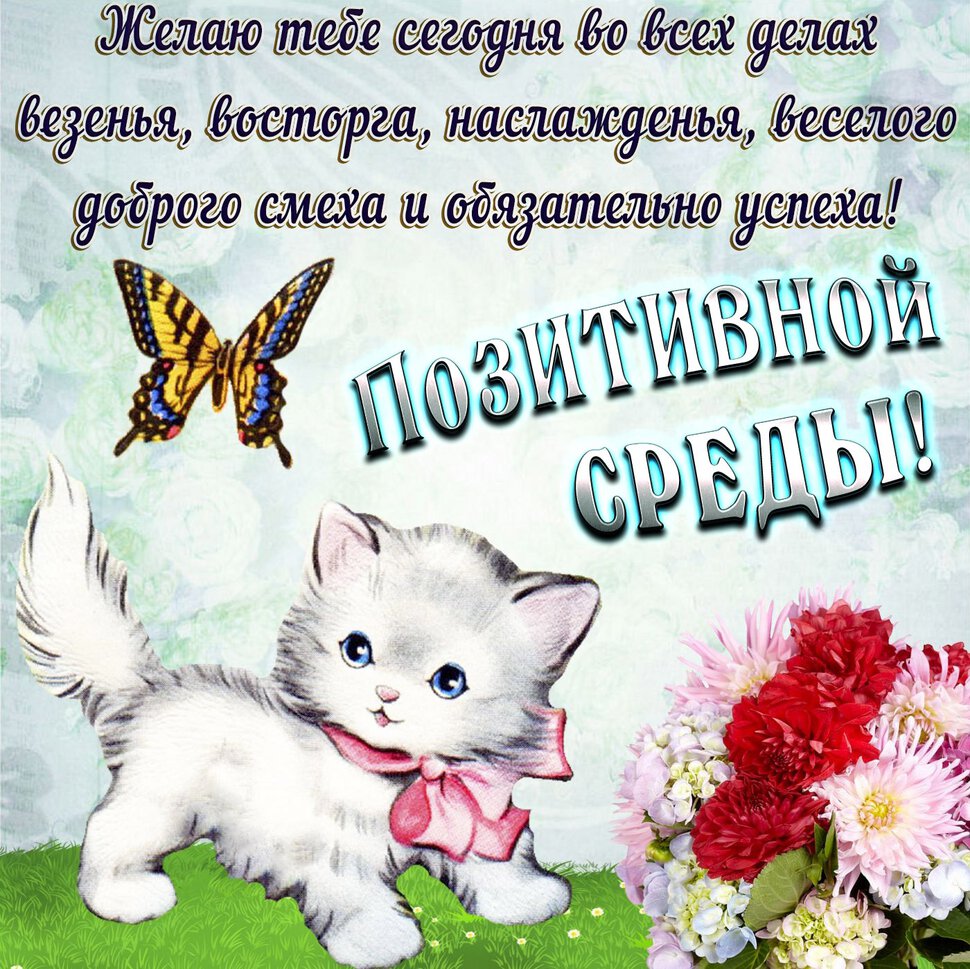 Детская открытка про Среду с котенком и бабочкой