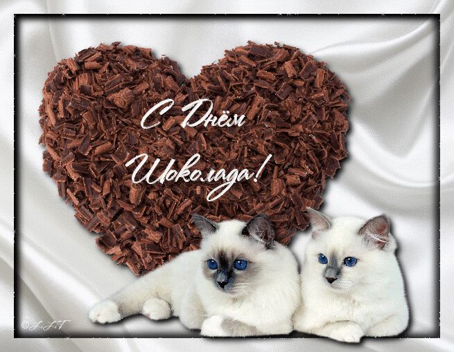Шоколадное сердечко с котятами на День Шоколада
