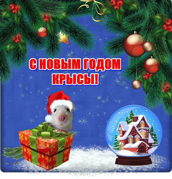 Бесплатная поздравительная открытка на Новый Год Крысы