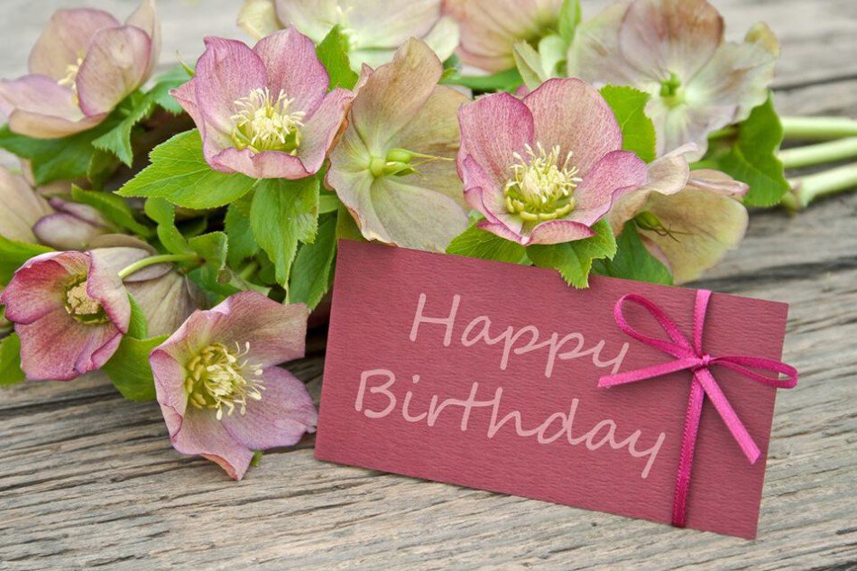 Открытка поздравление с Днем Рождения Happy Birthday