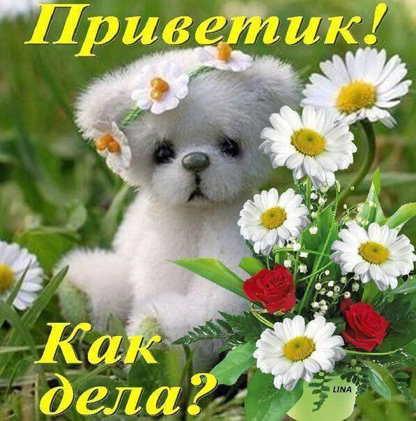 Милая открытка Как дела с медвежонком и цветами