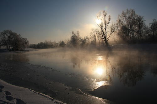 Осенний лес