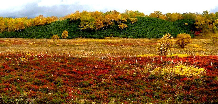 Краски осени