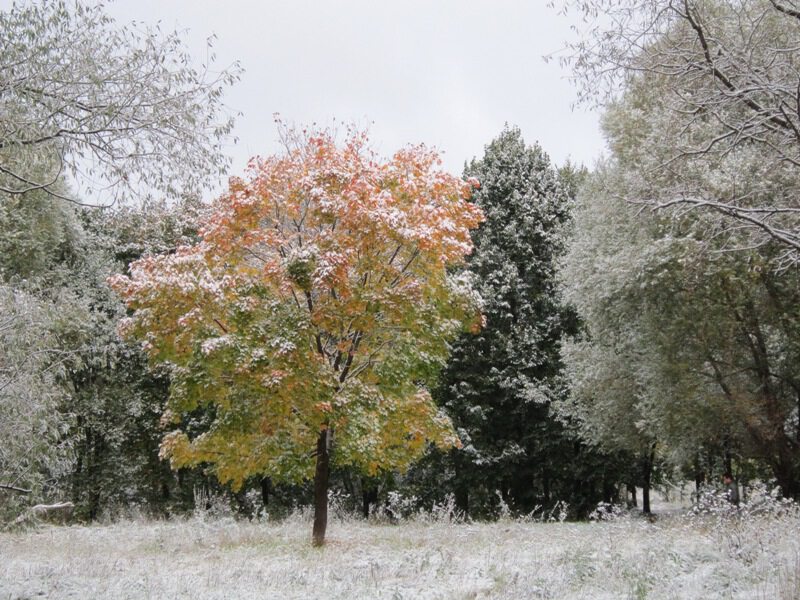 Осенне-зимний пейзаж