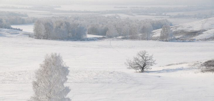 Ковер зимы Покрыл луга, леса, холмы