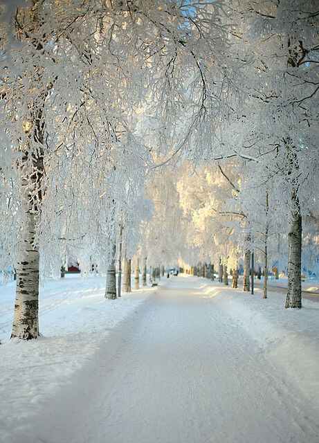 Белые дороги зимы