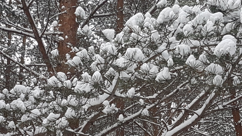 Шапки снега