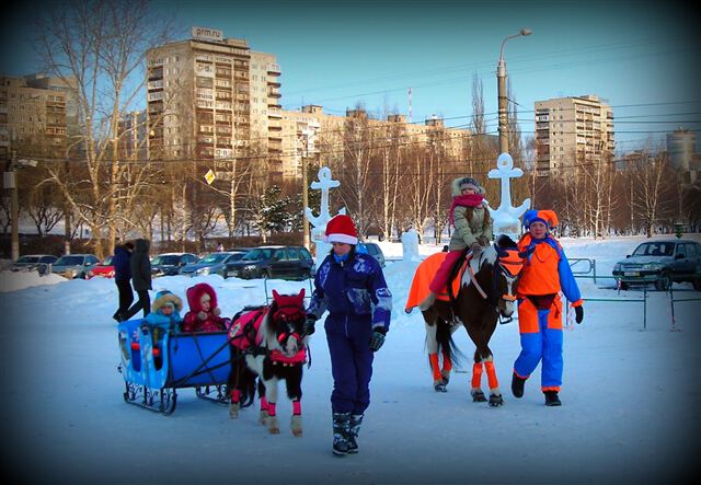 Новогодние каникулы