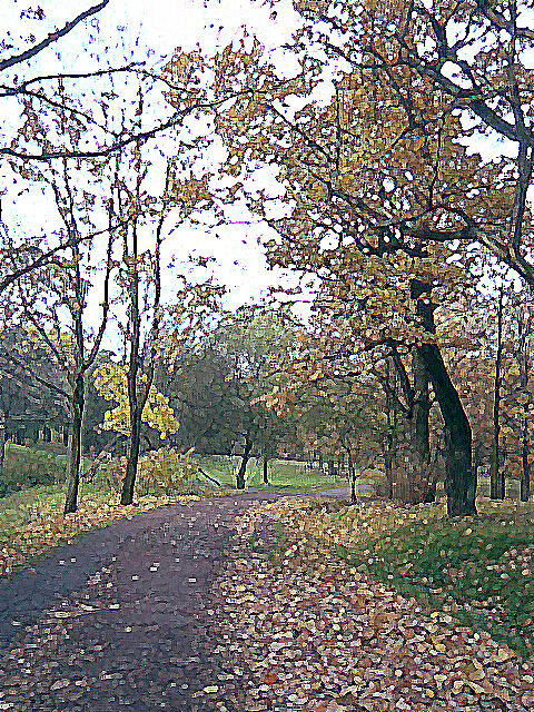 Дорожки старого парка
