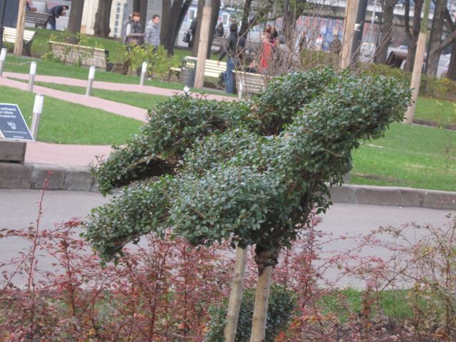 В парке имени Горького