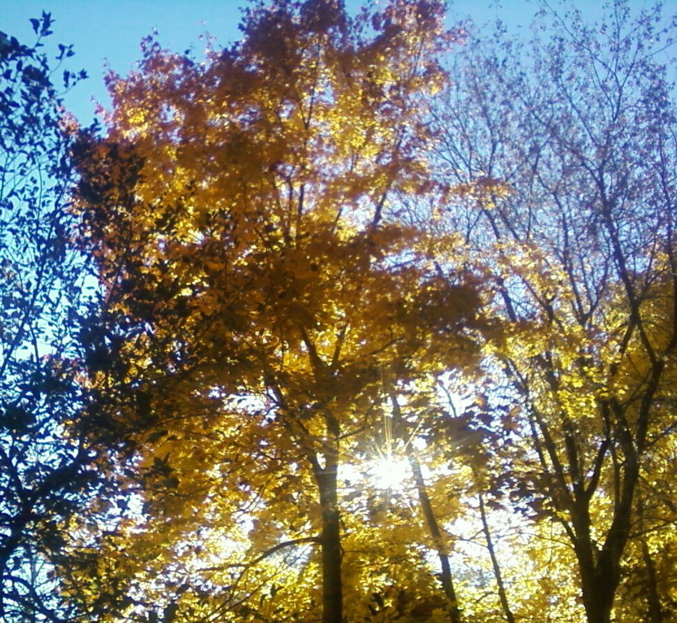 Золотая Осень