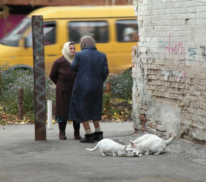 Старый и малый