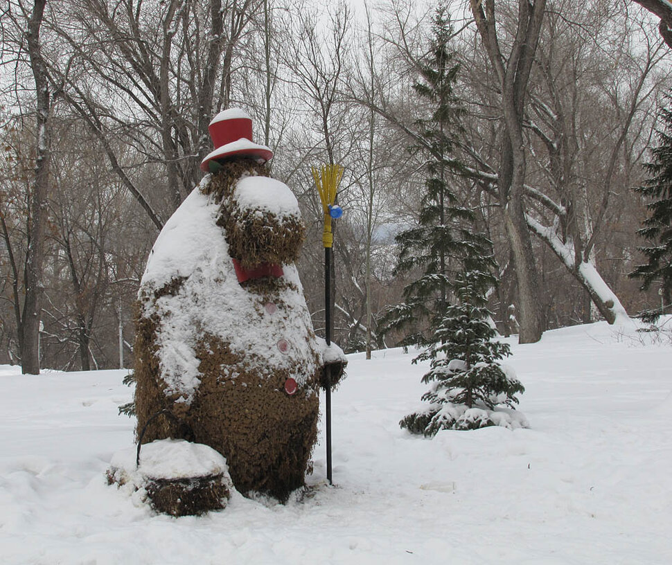 Леший. Самара. Струковский сад