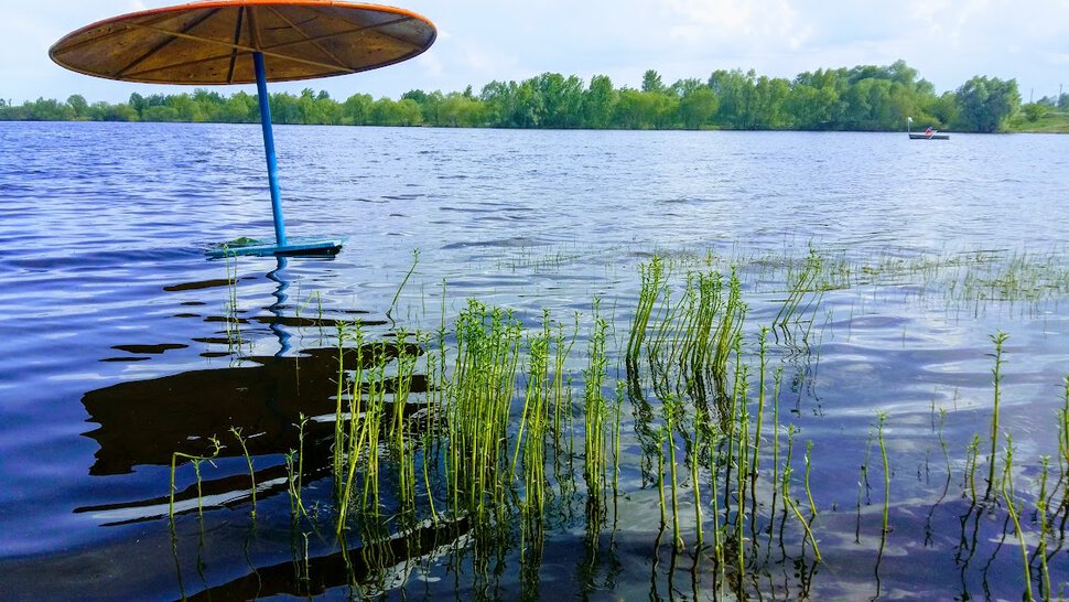 На поверхности воды