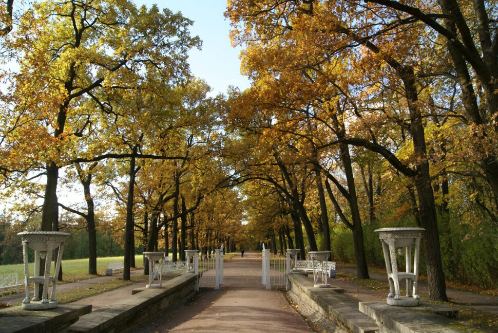 В осенней красоте