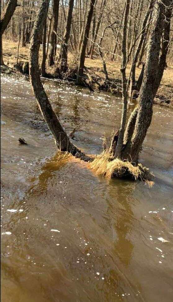 Апрельские воды