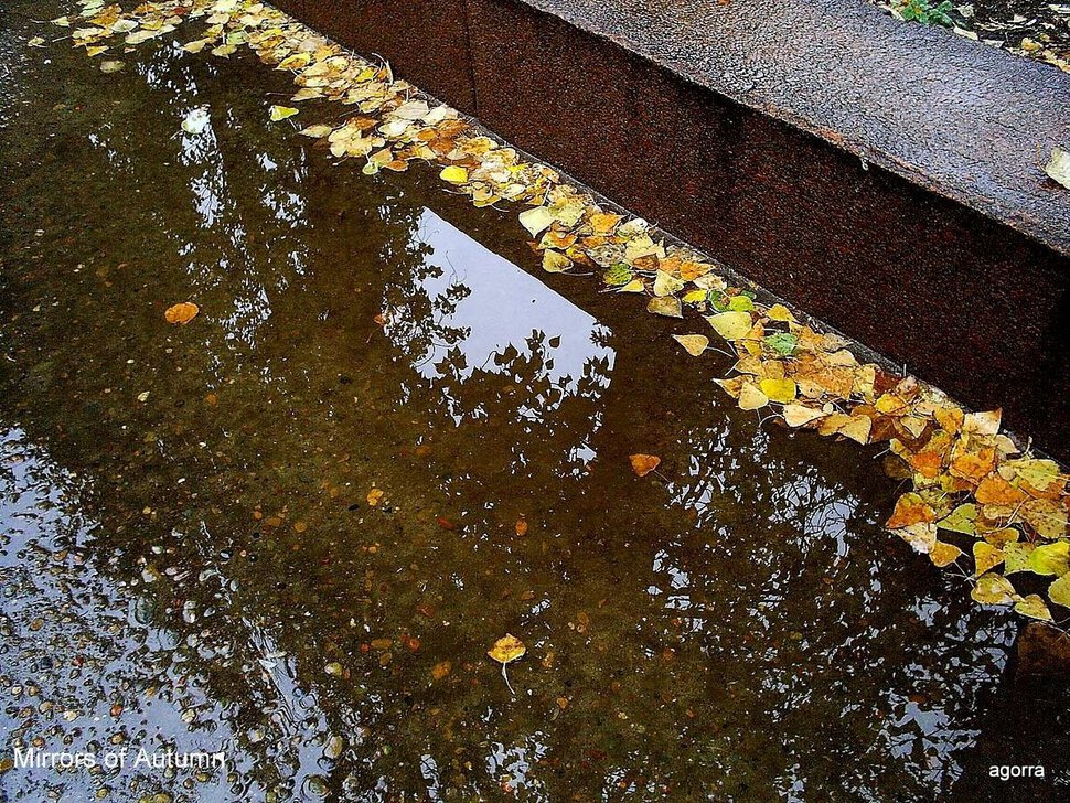 Mirrors of Autumn