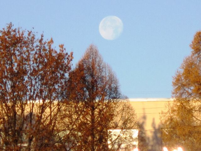 Луна на небе голубом