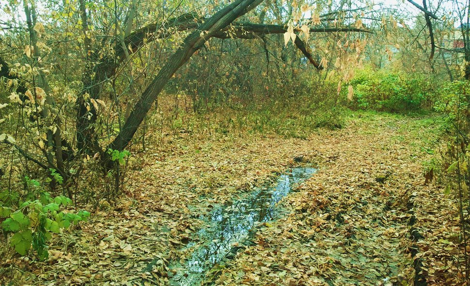 Глушь и распутица в одном флаконе