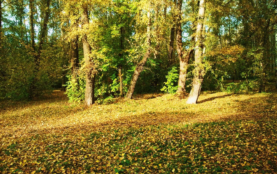 На осеннем солнышке