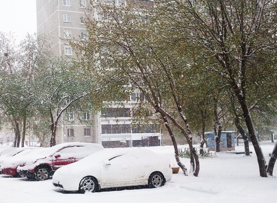После майского снегопада