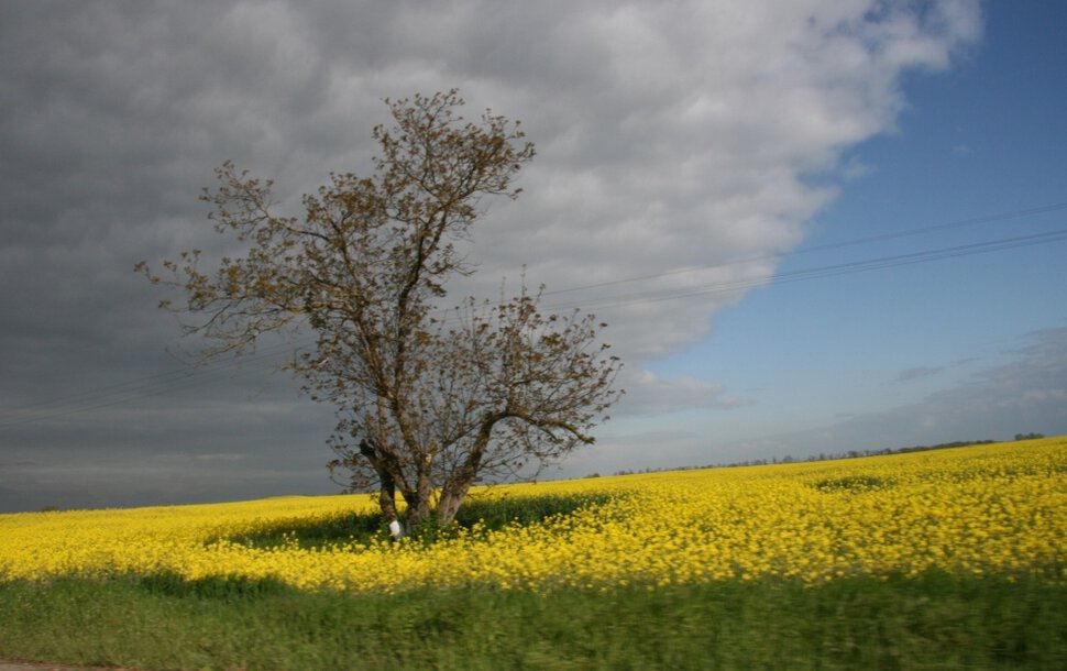 Весна