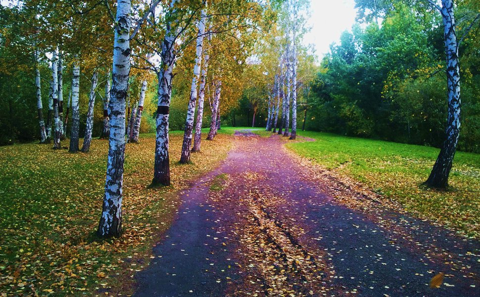 Осенними дорогами