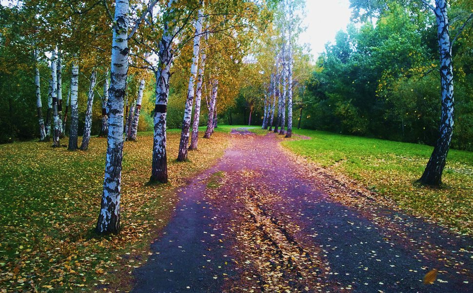 Осенними дорогами