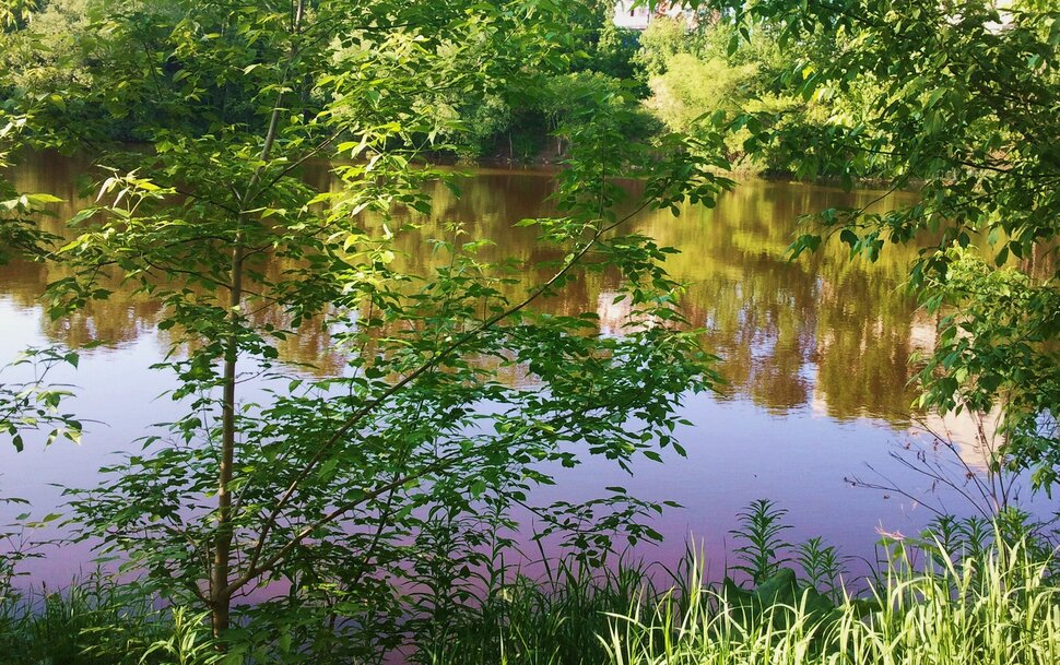 У реки