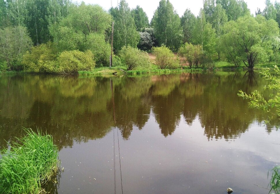 У реки