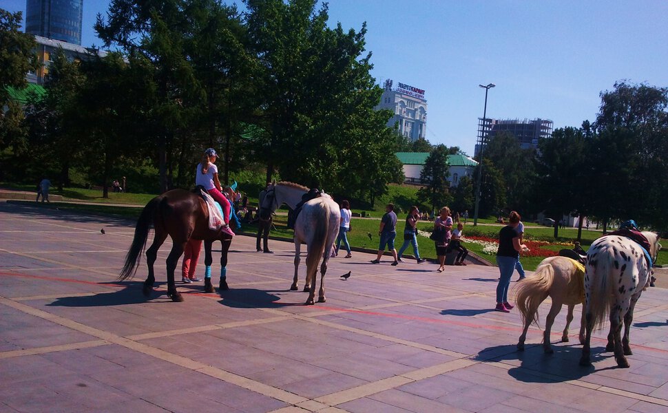 В сквере с лошадками