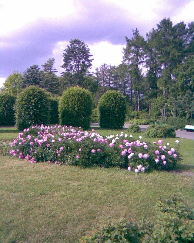 Весна 2008. Киев. Ботанический сад