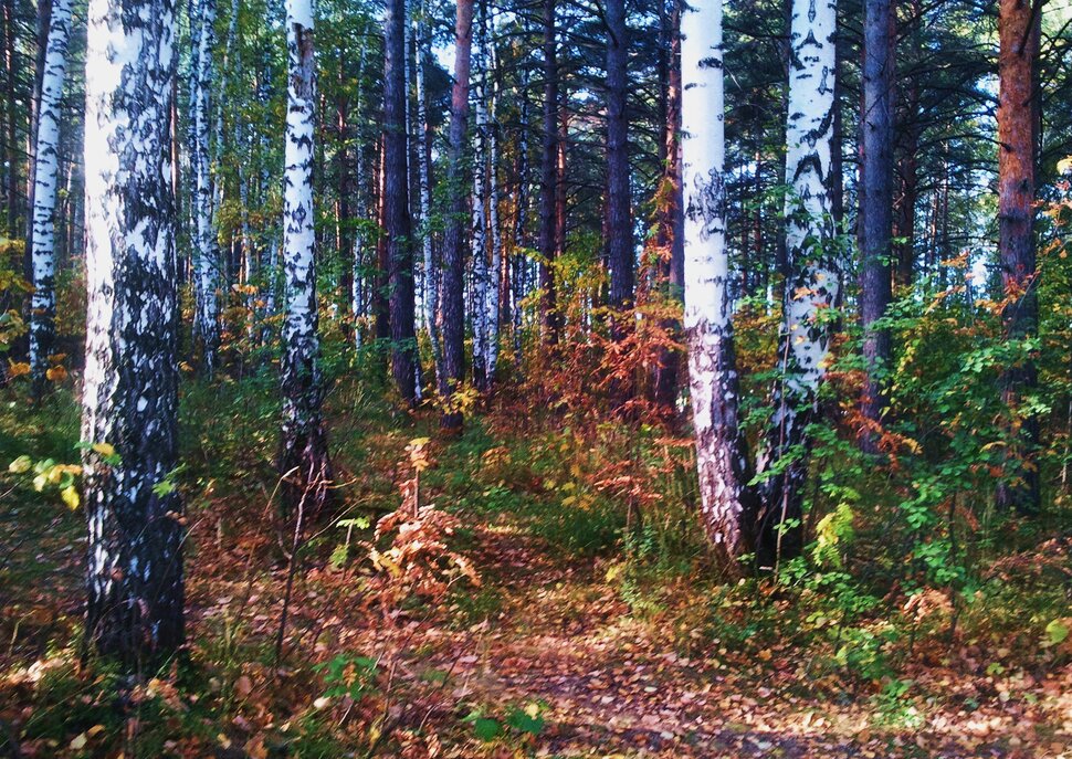 Сентябрь