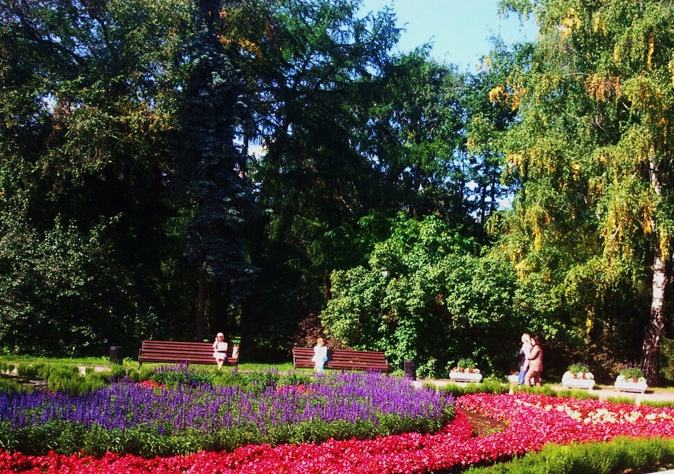 В дендрарии