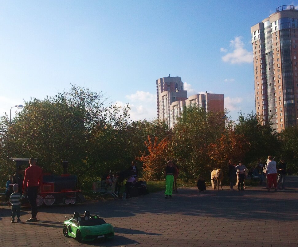 В парке в сентябре