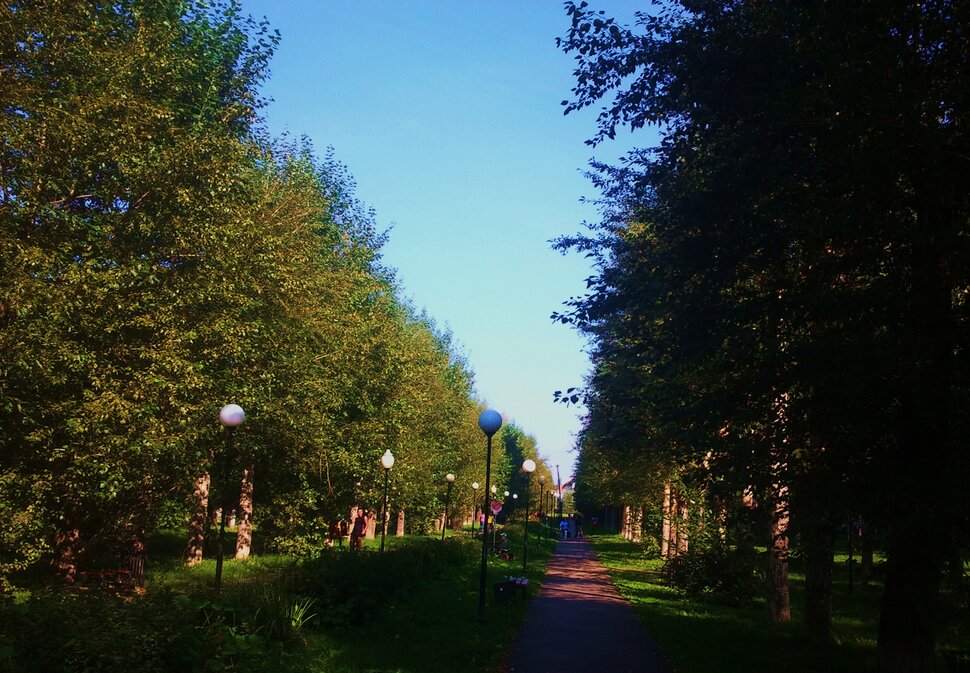 По бульвару