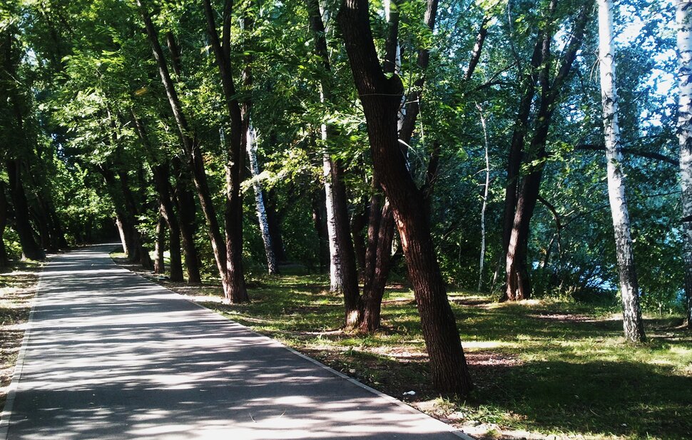 По дорожке