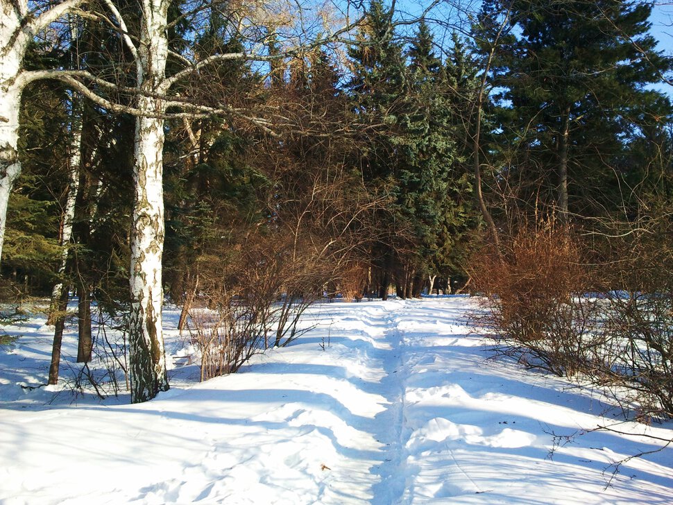 По снежной тропке