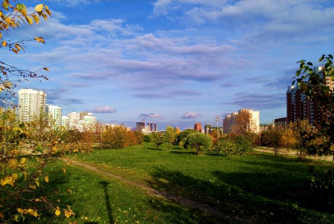 В городском парке