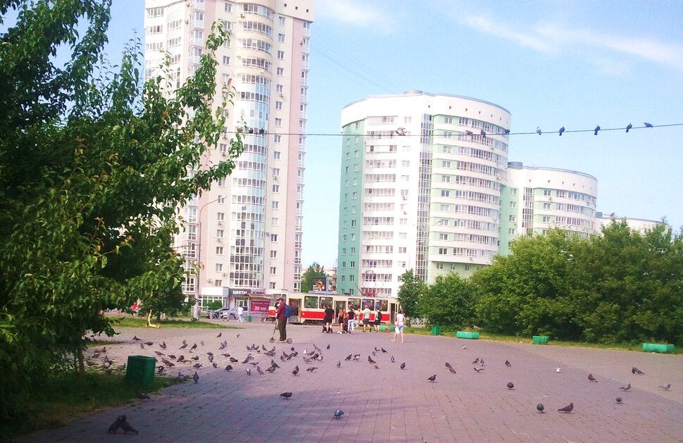 В парке летом