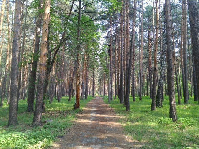 В заводском парке