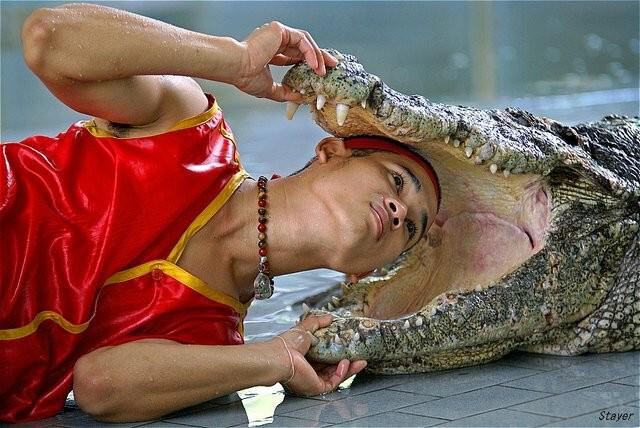 Большая крокодила