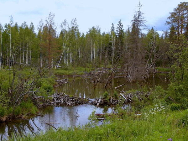 Красивейшие места