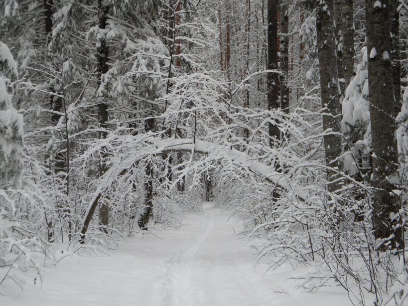 Сказочная тропка