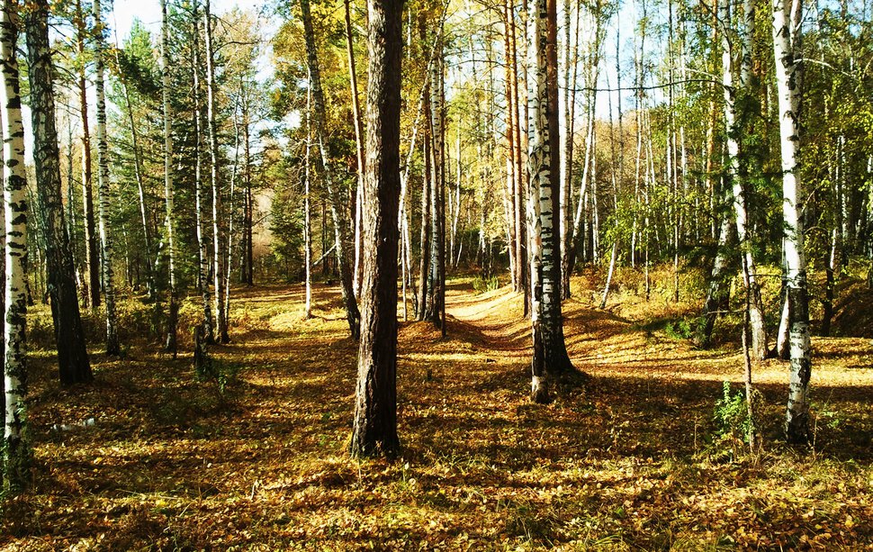 Осенний пейзаж