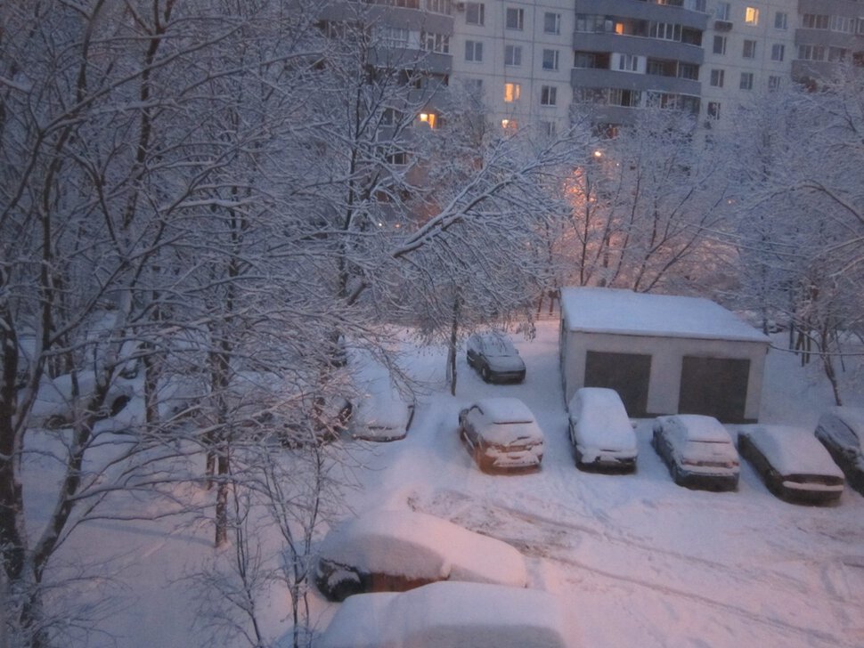 Последнее утро января. Вид из окна