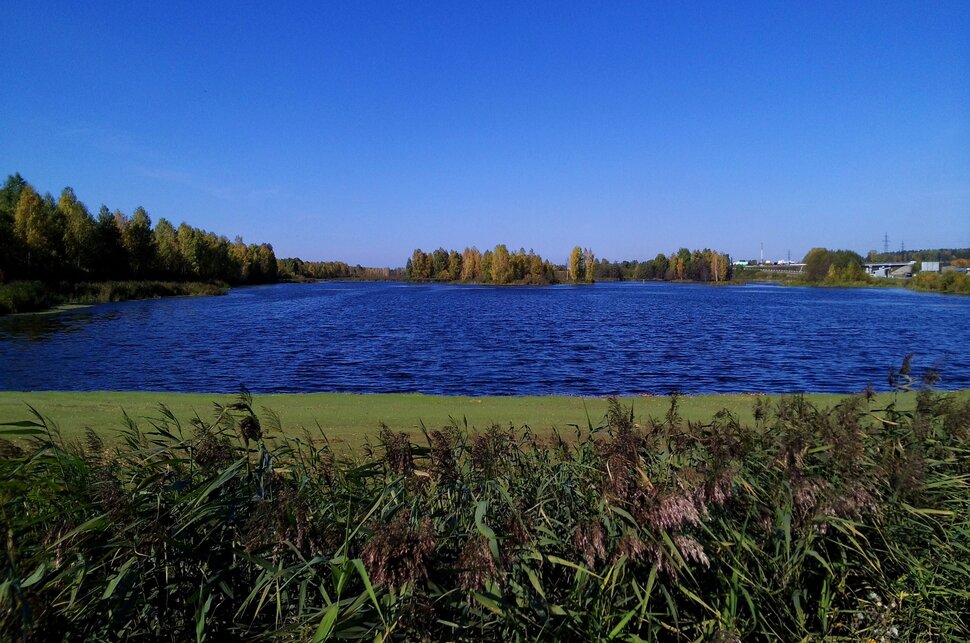 У реки