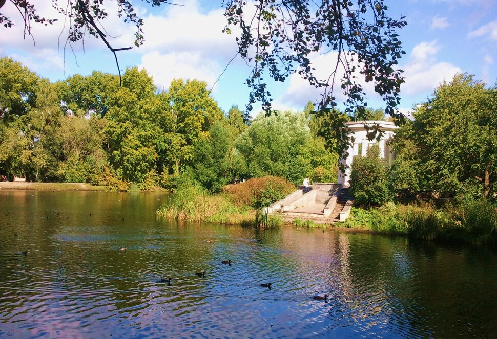 В городском парке