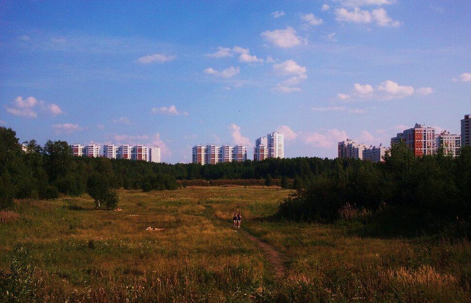 Летние прогулки